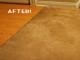 Carpet Cleaner Bio